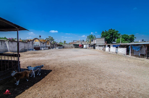 Terreno En Venta En El Salto Jalisco