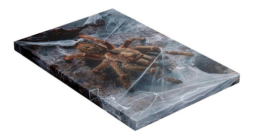 Cuadro Tarantula Marrón Sobre Telarañas Animales 40x60