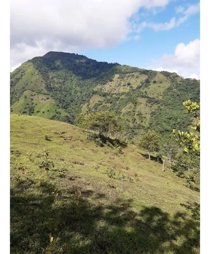 Se Vende Lote En Sanjeronimo (antioquia) 20 Hectáreas + 8.000 Mtr2