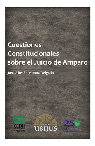 Cuestiones Constitucionales Del Juicio De Amparo, De Muñoz Delgado, Jose Alfredo. Editorial Ubijus, Editorial Sa De Cv, Tapa Blanda, Edición 1° Edición En Español, 2013