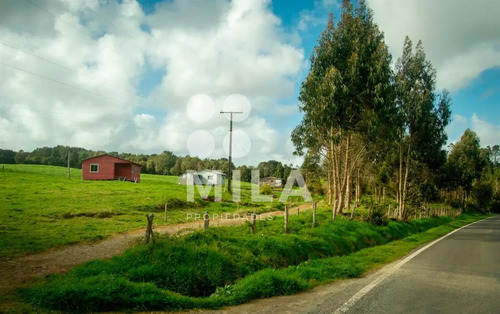 Terreno Construccion En Venta En Los Muermos