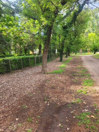 Terreno En Venta En Nono