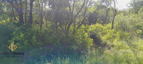 Lote En Venta De 500mts2 A 300 Mts De La Ruta E-53 Rc