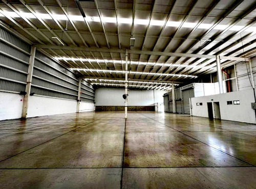 Nave Industrial En Renta Parque Shinjuku Celaya Apaseo El Grande