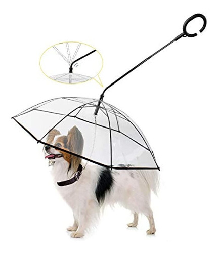 Disfrutando De Paraguas Para Mascotas Paraguas Para Perros A