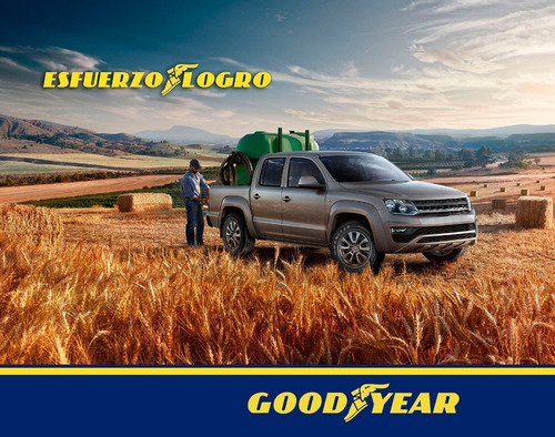 Combo Kit X2 225/60 R17 Goodyear Wrangler Suv 99h Sl