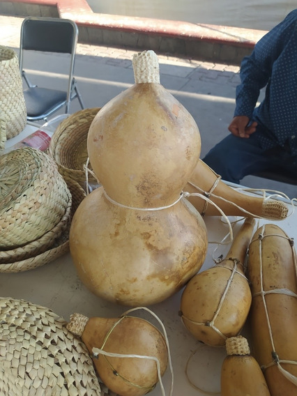 Guaje Mantiene Tu Agua Bien Fresca Ideal Para El Campo Mercadolibre