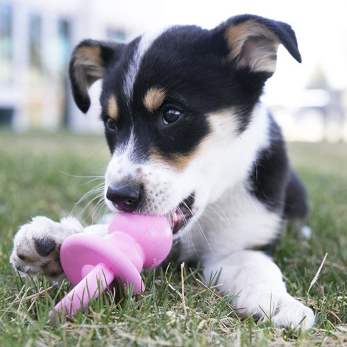 Imagen 5 de 9 de Kong Puppy Binkie Medium Juguete Perros Cachorros