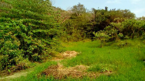 Terreno Venta Poza Rica De Hidalgo Veracruz 2000 M²