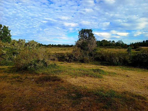 Se Vende Terreno Las Parcelas 2 ,la Campana (30057)