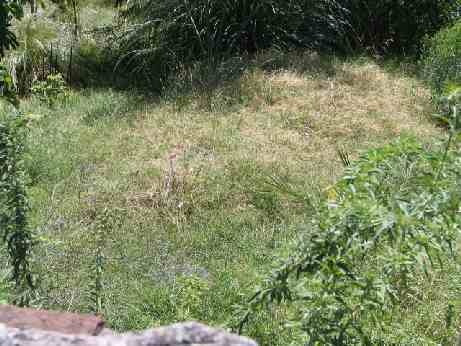 Imagen 3 de 6 de Lote En Venta En Moron Norte