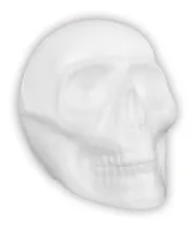 Comprar Cabeza Craneo Busto De Unicel Papeleria 5 Piezas 15.5x20cm