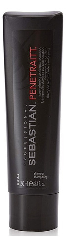 Sebastian Penetraitt Shampoo 250ml