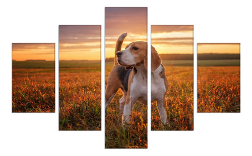 Set De 5 Cuadros Canvas Retrato Perro Beagle 114x185cm