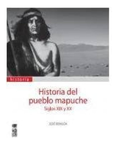 Historia Del Pueblo Mapuche Siglo Xix Y Xx. Bengoa, Jose