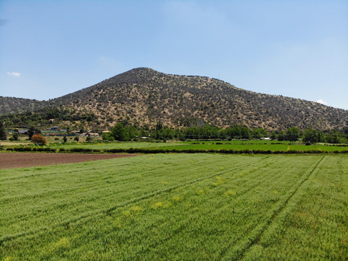 Hermosa Parcela De 4 Hectáreas, Sector San Vicente, Pirque.