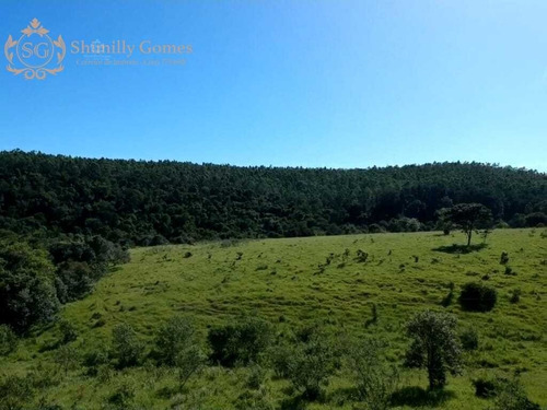 Imagem 2 de 18 de Sitio Com 18.000 Alqueires, Energia Elétrica E Casa Para Caseiro.