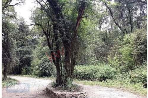 Imagen 4 de 8 de Terreno En Venta En Camino A San Simón Con Un Rio