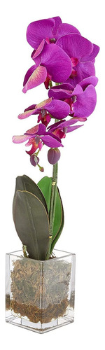 24 PuLG  Orquídea Phalaenopsis Florero Artificial Arre...