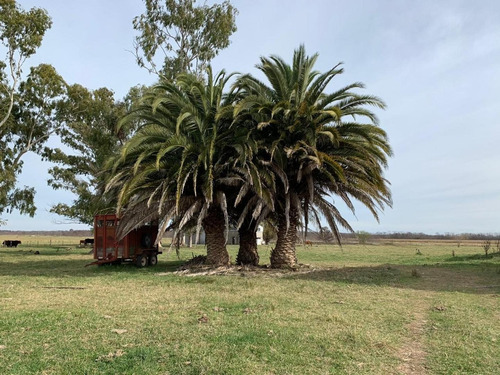 Imagen 10 de 17 de Venta- Campo De 82 Hectáreas En Goldney