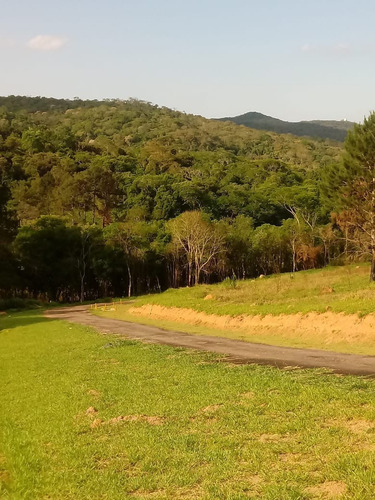 Imagem 1 de 8 de Condomínio De Chácaras Terreno 20x50 1000m2,muita Área Verde,bem Localizado,rota Do Vinho São Roque - Te00109 - 69314304