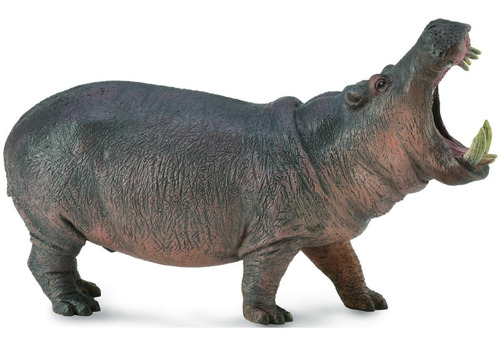 Figura De Hipopótamo Marca Collecta