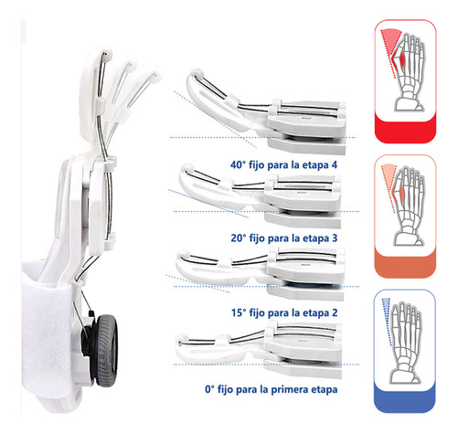 Corrector De Juanetes Ajustable Para Pie Izquierdo Y Derecho