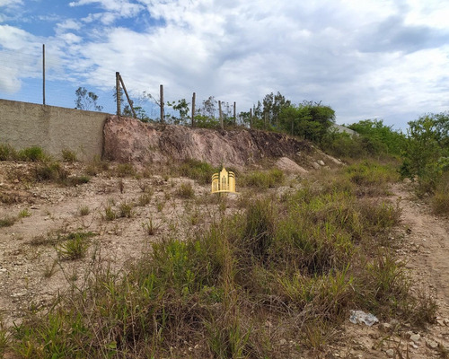 Imagem 10 de 10 de Lote No Bairro Parque Novo Ceasa - Esmeraldas - Te00336 - 68908874