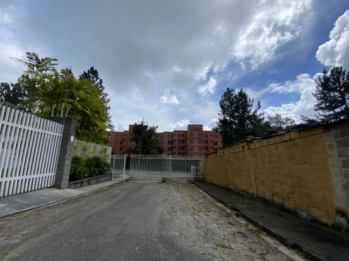 Imagen 3 de 9 de 153618 Yt. Se Vende Terreno En La Lagunita