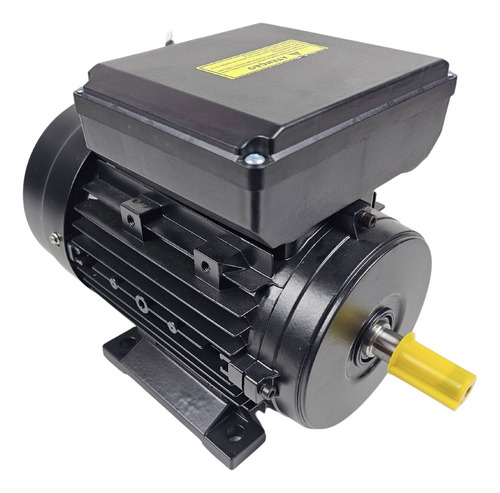 Motor Elétrico 3cv 4 Pólos Monof. Bivolt Ip55 Yl100l1 Lynus