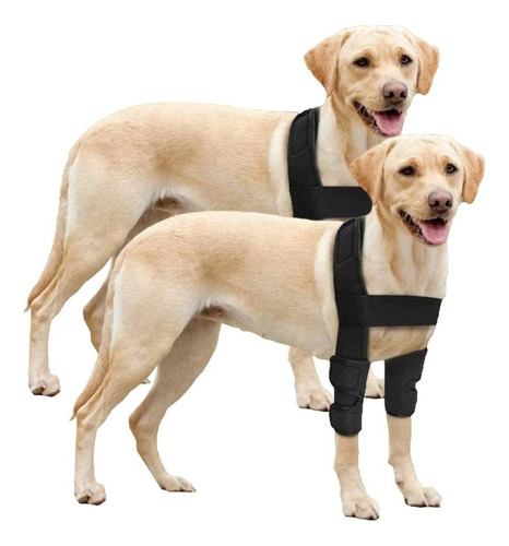 C Coderas Protectoras Para Perros