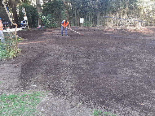 Imagen 5 de 10 de Poda De Arboles, Limpieza De Maleza Y Terrenos