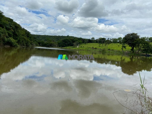 Imagem 4 de 15 de Fazenda - Zona Rural - Ref: 5345 - V-mta5345