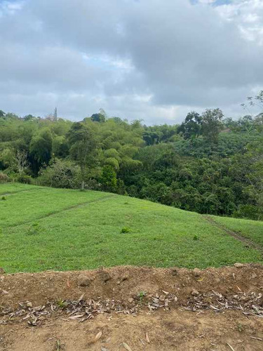 Lote En Venta En La Betulia/pereira (48814).