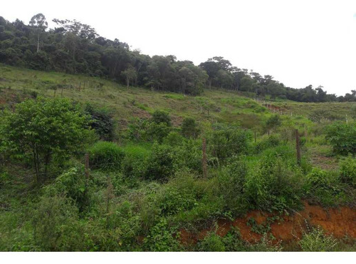 Imagem 2 de 10 de Chacara - Paraiso - Ref: 4980 - V-anp4980