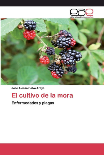 Libro: El Cultivo De La Mora: Enfermedades Y Plagas (spanish