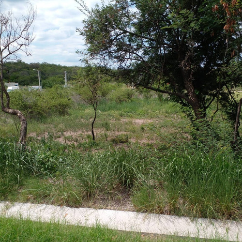 Imagen 3 de 6 de Se Vende Excelente Lote En Barrio Prossur 600 Metros Con Escritura!!!!
