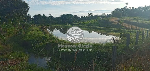 Imagem 8 de 9 de Venda Sítio Monte Negro Em Rondônia - Sig218