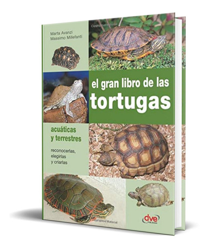 El Gran Libro De Las Tortugas [ Original ]