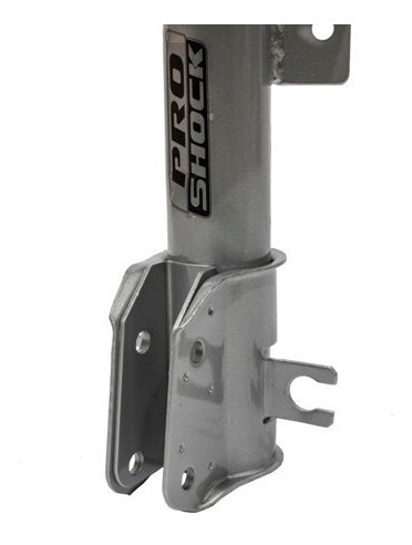 Amortiguadores Traseros Peugeot 206 207 Proshock