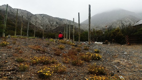 Lote Potrerillos