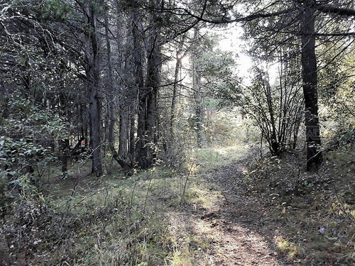 Terreno Fraccion En Venta Ubicado En Villa Lago Gutierrez, Bariloche