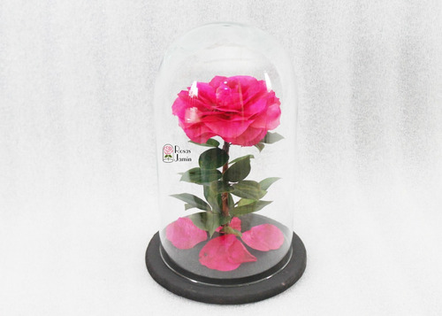 Rosa Eterna La Bella Y La Bestia Rosa Encantada Fucsia | Envío gratis Rosa Eterna La Bella Y La Bestia Rosa Encantada Fucsia | Envío gratis