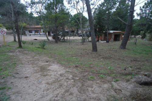 Imagen 3 de 5 de Muy Buena Ubicación- Lote A Nivel- Arbolado- Lindo Entorno- 600 Mts