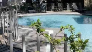 Imagen 3 de 13 de Departamento 2b2h, Con Piscina