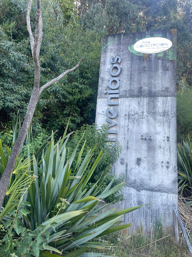 Terrenos Urbanizados Junto A La Universidad De Concepción