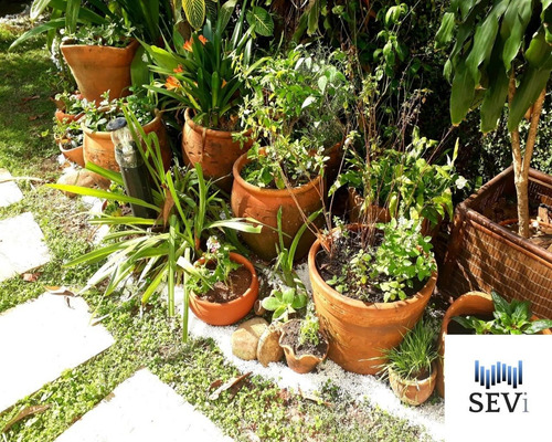 Imagem 1 de 21 de Casa - Ca00415 - 69273305