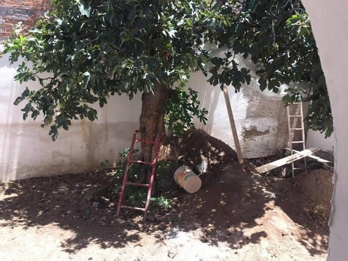 Imagen 10 de 12 de Local Comercial En Venta Victoria De Durango Centro