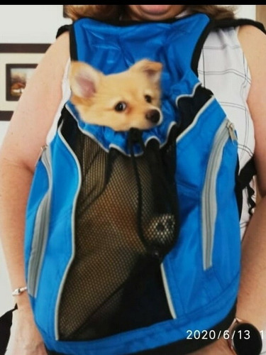 Bolso Cargador Con Seguro Para Perro