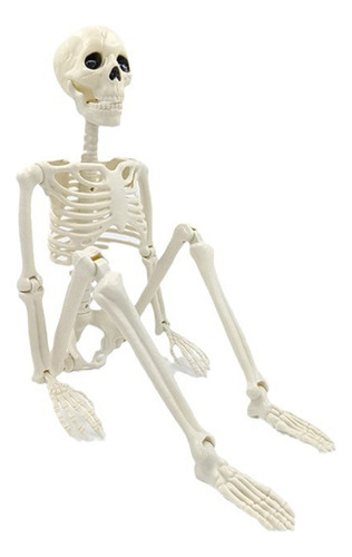 ( Decoración De Esqueleto De Halloween, Diseño De Esqueleto
